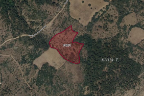 Çanakkale Bayramiç Kurşunlu Köyü’nde 12.636 m² Satılık Tarla!