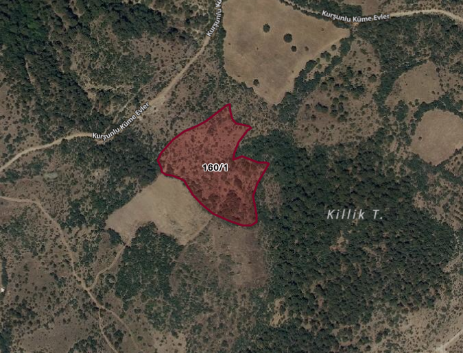 Ekran Resmi 2025-02-27 22.54.17